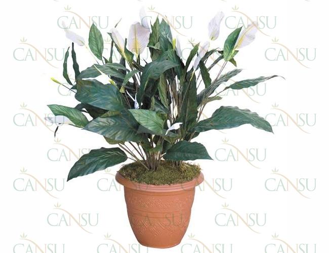 Decorative plants, Model #: CT-07-268
