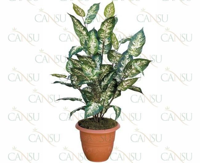 Decorative plants, Model #: CT-07-274