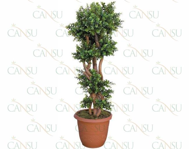 Fancy trees, Model #: CT-06-2115