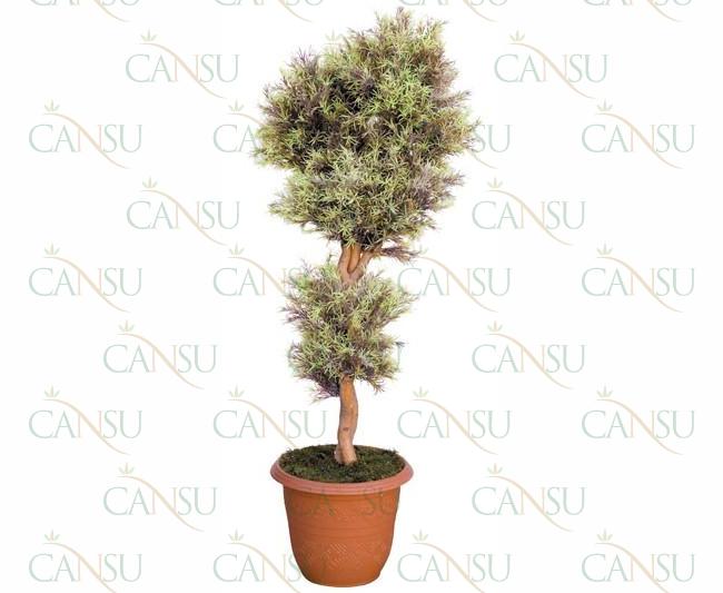 Fancy trees, Model #: CT-06-2116