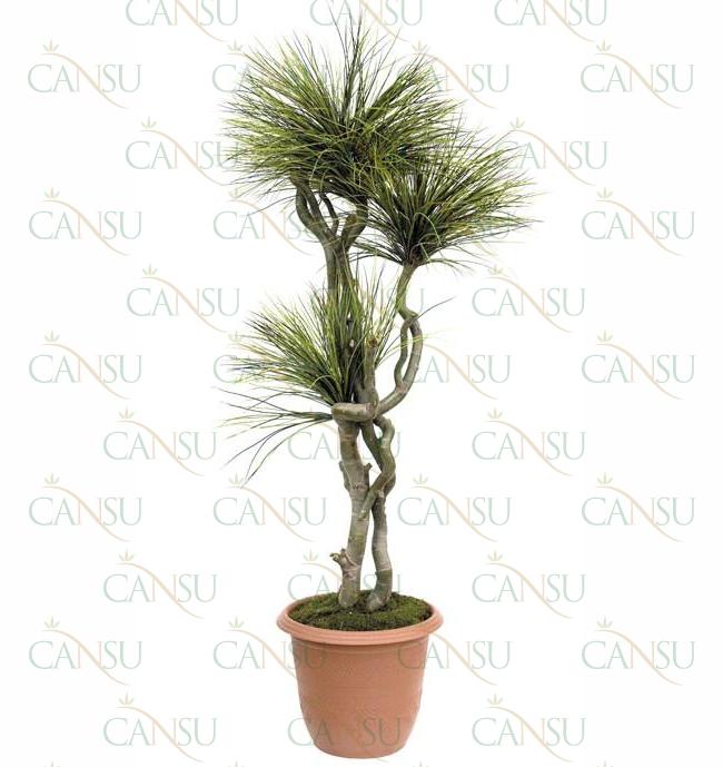 Fancy trees, Model #: CT-06-2118