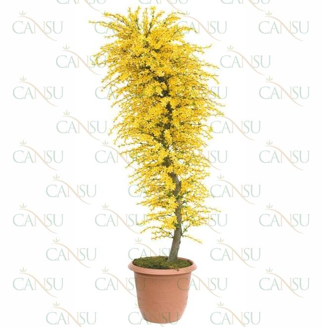 Fancy trees, Model #: CT-06-2119