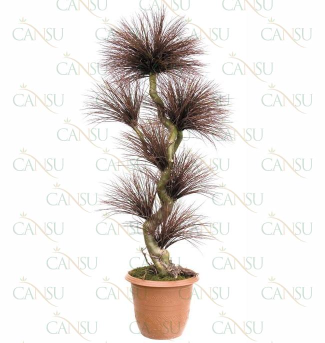 Fancy trees, Model #: CT-06-2120