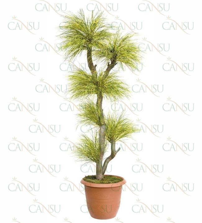 Fancy trees, Model #: CT-06-2121