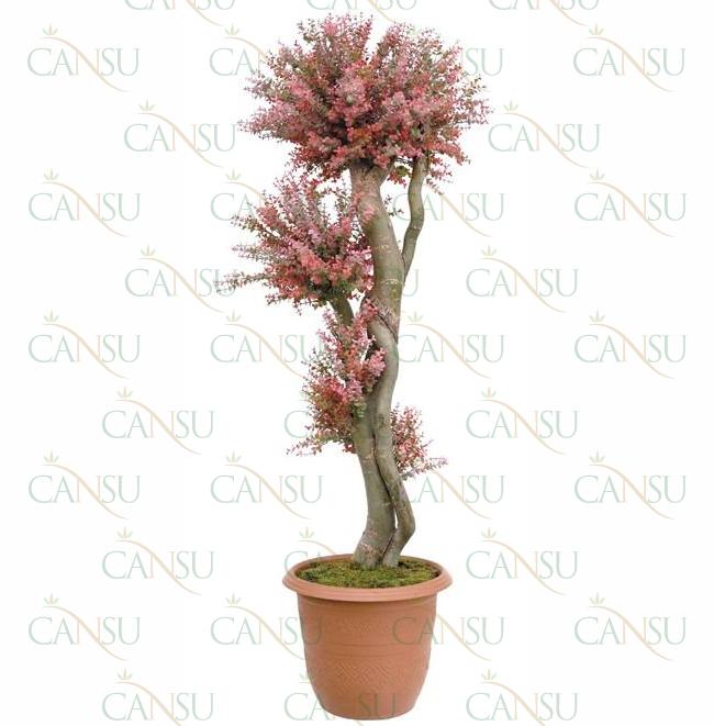 Fancy trees, Model #: CT-06-2124