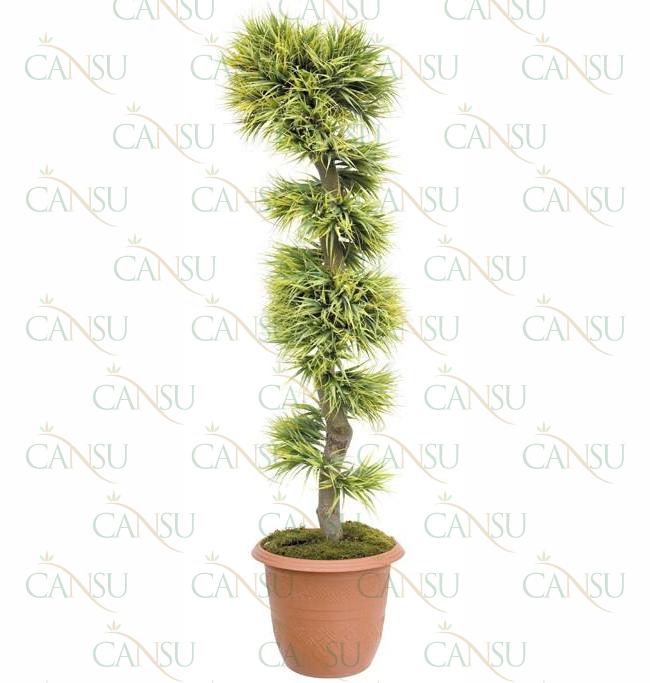 Fancy trees, Model #: CT-06-2125