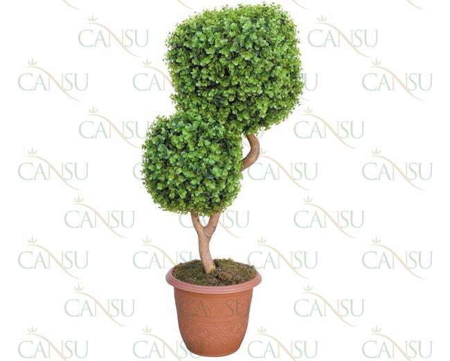 Box trees, Model #: CT-02-166