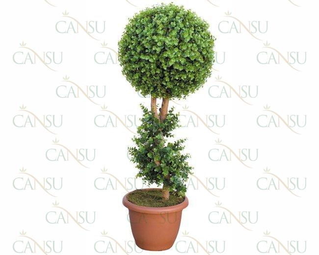 Box trees, Model #: CT-02-174