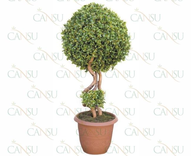 Box trees, Model #: CT-02-174