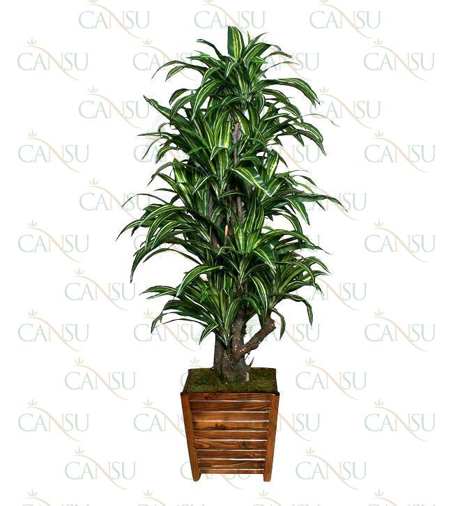 Artificial trees, Model #: CT-YA-126