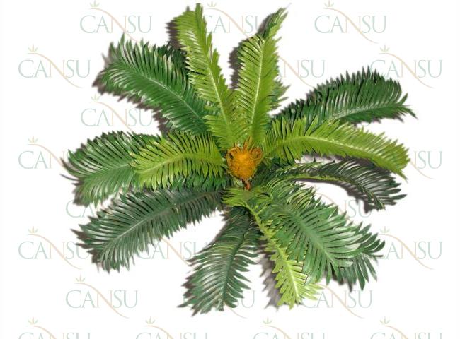 Artificial plants, Model #: 0071