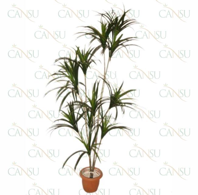 Artificial plants, Model #: T104Z-Z0900-0056