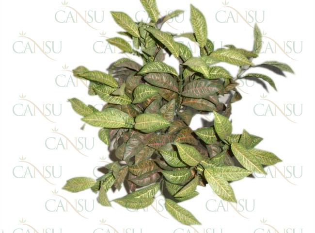 Artificial plants, Model #: YC314