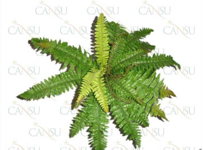 Artificial plants, Model #: YC425