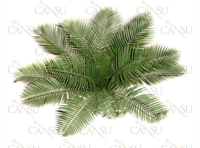 Artificial plants, Model #: YC426