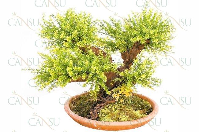 Artificial bonsai, Model #: CT-02-107