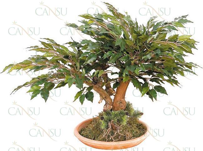 Artificial bonsai, Model #: CT-02-113