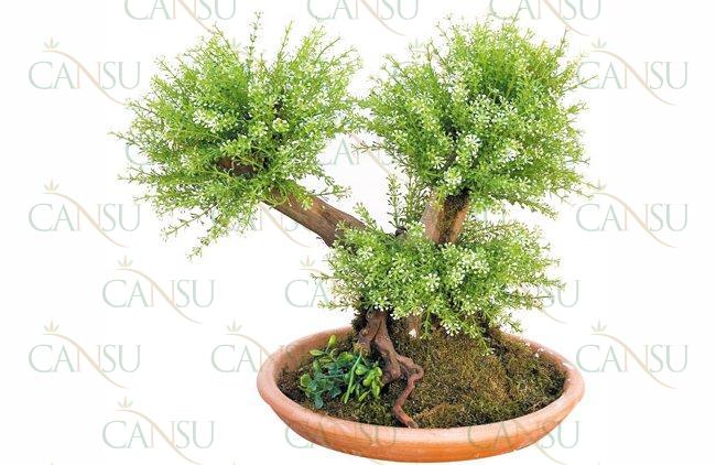 Artificial bonsai, Model #: CT-02-161