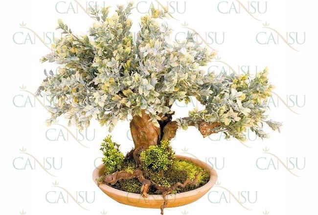 Artificial bonsai, Model #: CT-02-166