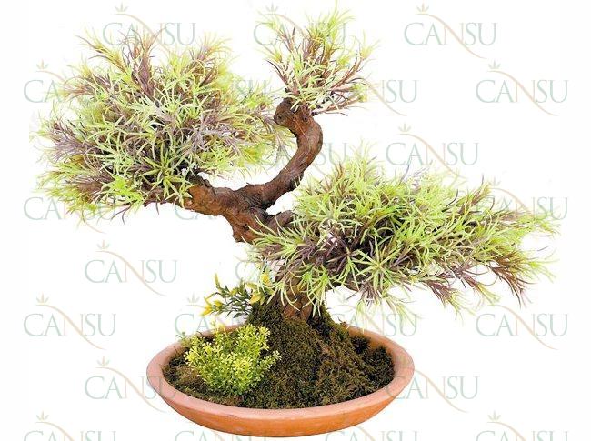 Artificial bonsai, Model #: CT-02-181