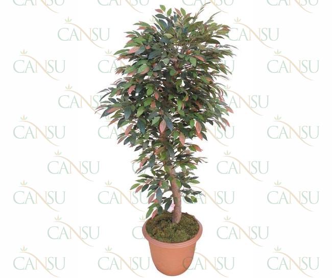 Leafy trees, Model #: CT-04-512