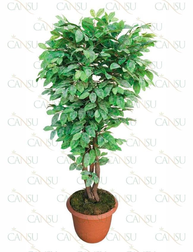 Leafy trees, Model #: CT-04-521