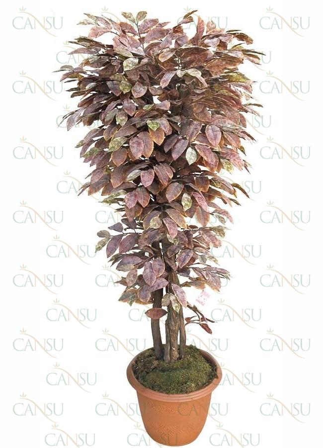 Leafy trees, Model #: CT-04-522