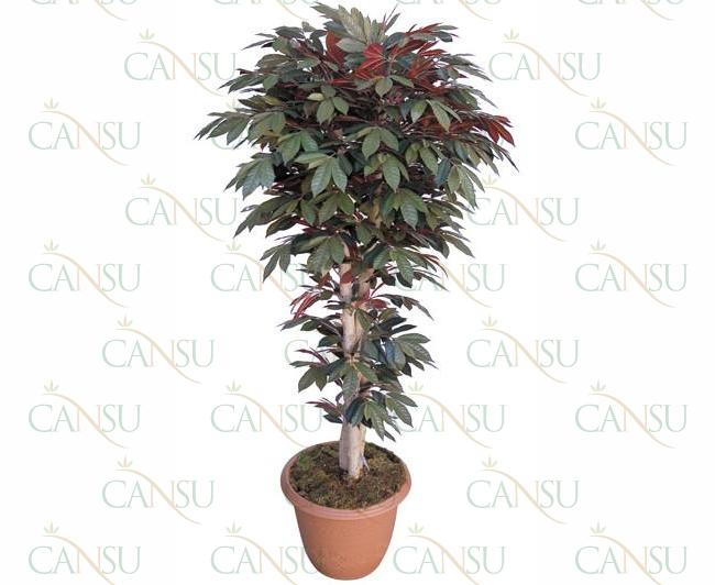 Leafy trees, Model #: CT-04-558