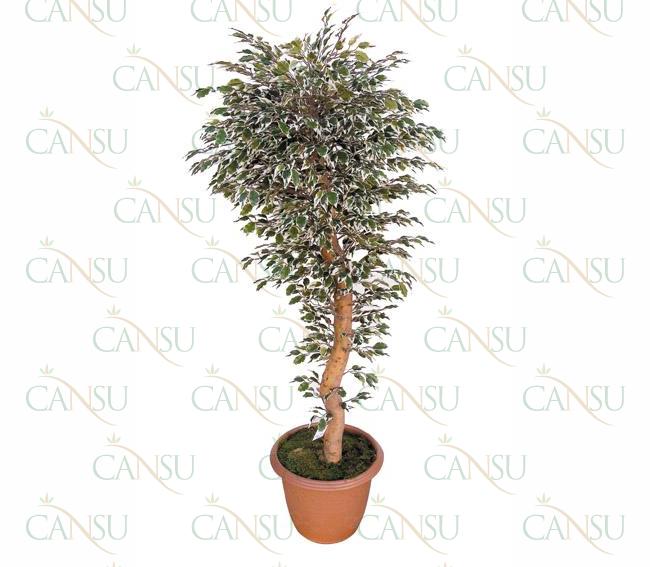 Leafy trees, Model #: CT-04-600