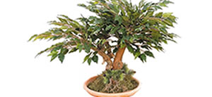 Artificial bonsai